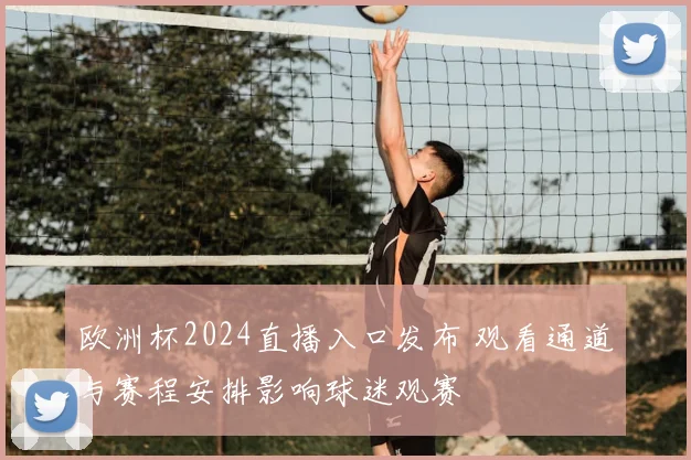 欧洲杯2024直播入口发布 观看通道与赛程安排影响球迷观赛