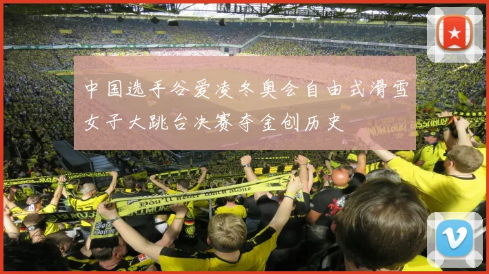 中国选手谷爱凌冬奥会自由式滑雪女子大跳台决赛夺金创历史